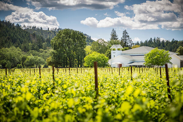 Twomey winery clearance